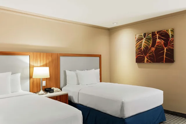 Standard, 2 Double Beds, Hilton Mexico City Airport 2/6