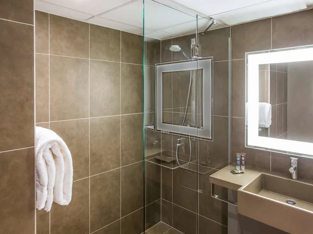 غرفة سوبيريور بسرير مزدوج، Novotel Strasbourg Centre Halles 5/7