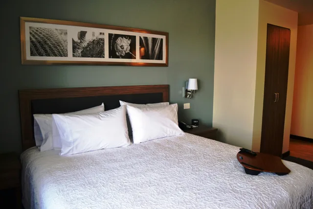غرفة بسرير كينج لذوي الإعاقة، Hampton Inn Suites By Hilton Salamanca Bajio 2/2