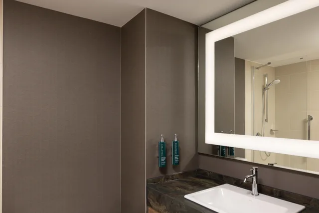 غرفة سوبيريور بسرير مزدوج، DoubleTree by Hilton Luxembourg 9/9
