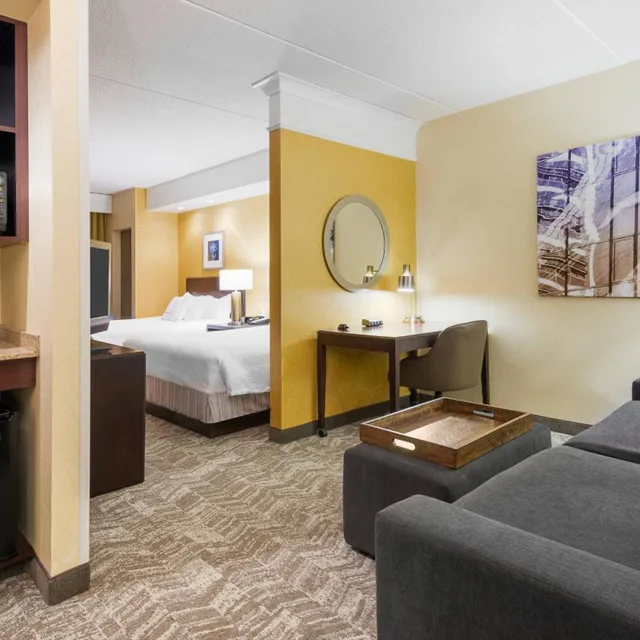 جناح بسرير كوين مع أريكة لذوي الإعاقة، Springhill Suites By Marriott Wheeling Tridelphia Area 9/9
