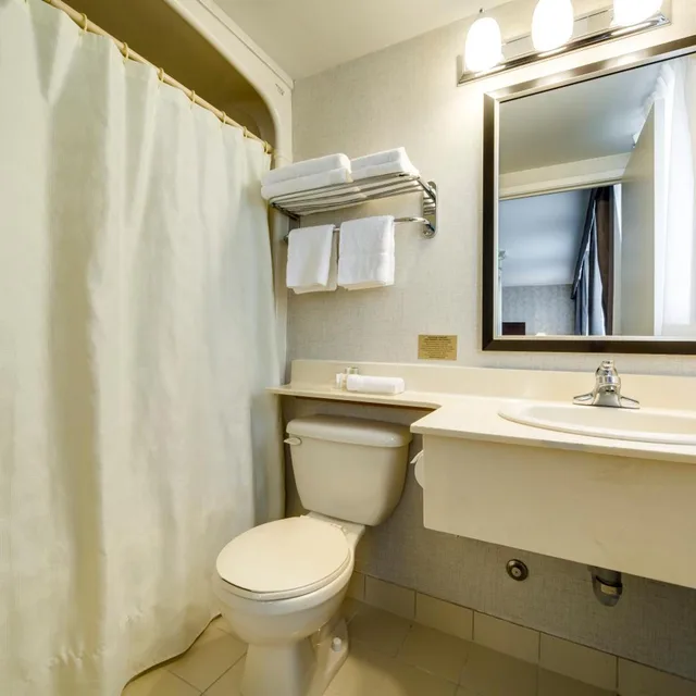 جناح ديلوكس بسرير كينج بمنطقة جلوس بحوض جاكوزي، Monte Carlo Inn Oakville Suites 6/7