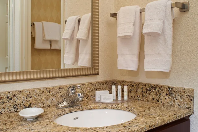 استوديو بسرير كينج مع أريكة لذوي الإعاقة، Residence Inn By Marriott Saginaw 1/1