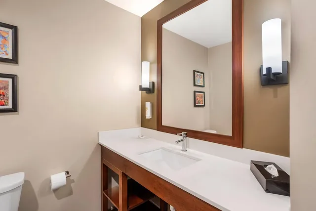 غرفة قياسية بسرير كينج، Comfort Inn & Suites Gap Amish Country 7/9
