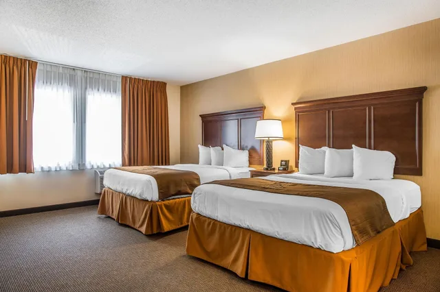 Superior, 2 Queen Beds, The Black Swan Lee Lenox An Ascend Collection Hotel 5/10