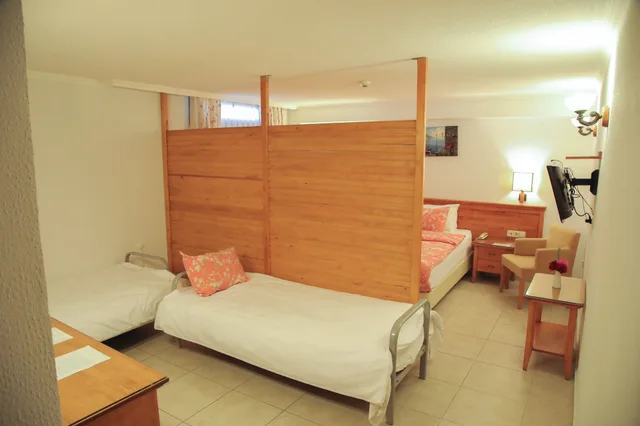 غرفة قياسية بسرير مزدوج، Leylak Boutique Hotel Brasserie Boutique Class 3/8