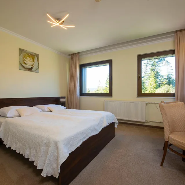 غرفة قياسية بسرير مزدوج، Hotel Montfort 6/10