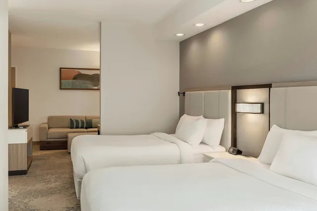 Suite, Multiple Beds, Accessible، SpringHill Suites by Marriott Frankenmuth 1/8
