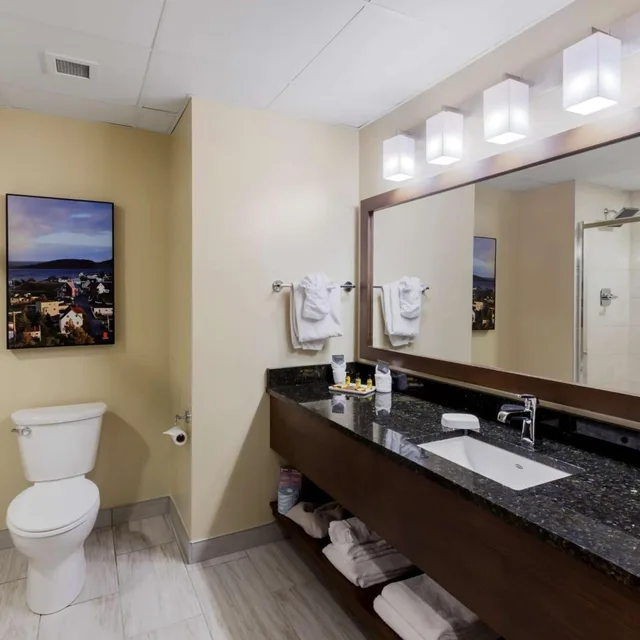 غرفة بسرير كينج وسرير كوين، Best Western Plus St. John s Airport Hotel and Suites 4/10