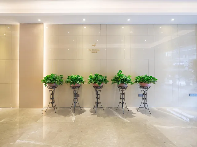 Lavande Hotel (Wuhan Jianghan Road Wanda Plaza)، ووهان 50/54