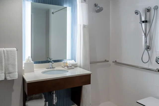 Renovated, Junior Suite, King Bed, Accessible, Hilton Garden Inn Arlington Courthouse Plaza 8/9