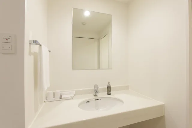 Renovated, Double Bed, Electronic Cigarette Only، Hotel New Gaea Nishikumamoto Ekimae 5/10