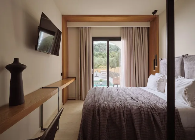 غرفة سوبيريور بسرير كوين بمسبح خاص، Nikon Boutique Hotel 4/8