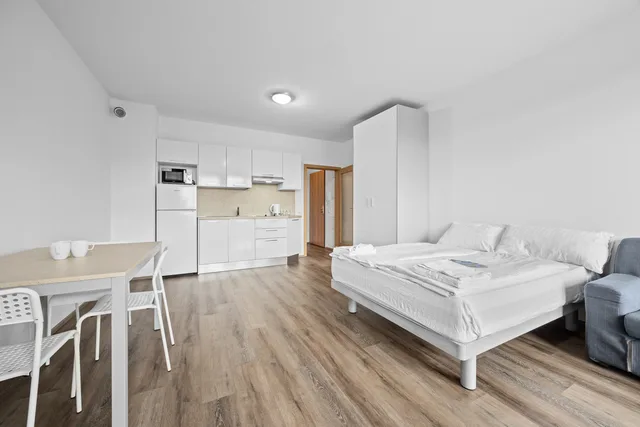 Studio apartment for 2 persons with balcony، Prague City Residence 2/8
