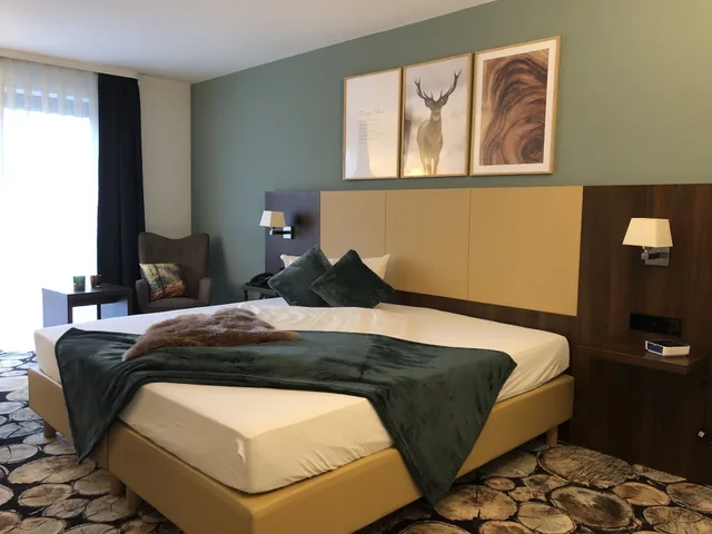 غرفة مفردة بسرير كينج، Lobinger Parkhotel 2/3