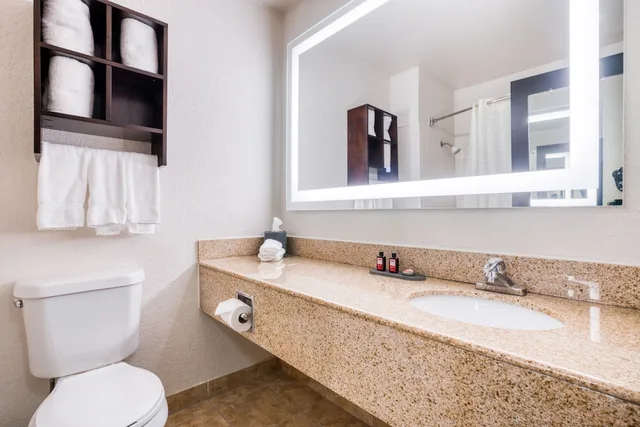 غرفة بسرير كينج، Alexis Hotel And Banquets Dallas Park Central Galleria 3/3