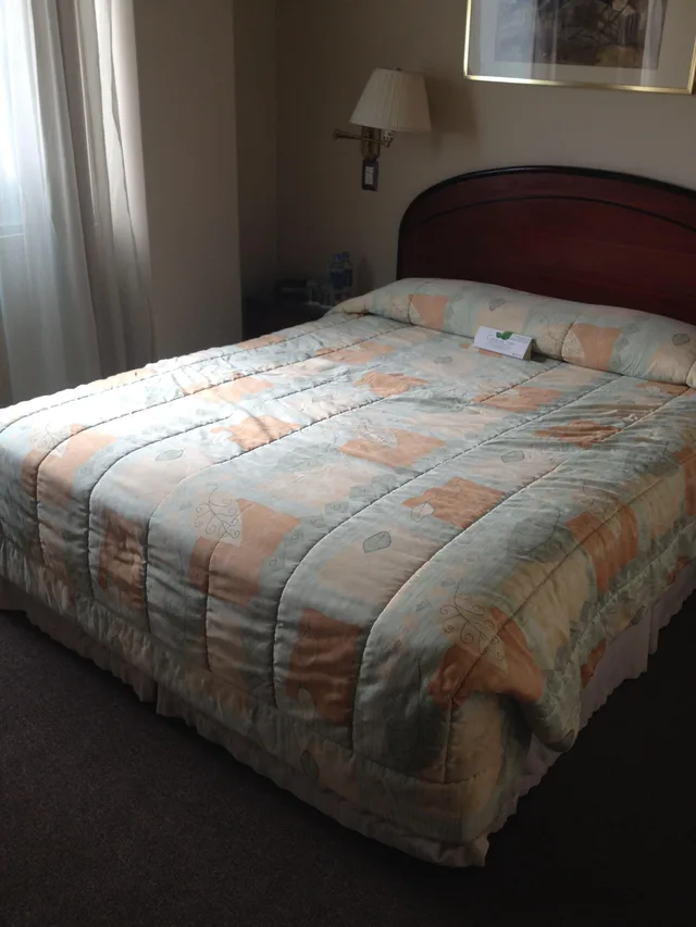غرفة قياسية، Ramada Hotel Guayaquil 3/4