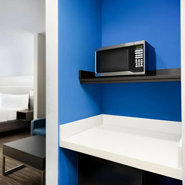 جناح بسرير كينج بحوض استحمام لذوي الإعاقة، Holiday Inn Express Hotel & Suites Spring Hill 2/2