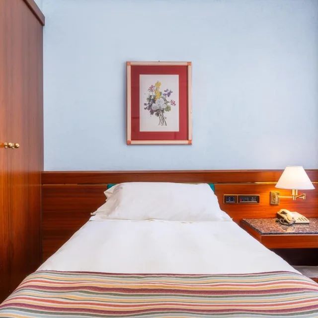 Room, Single, Hotel Crivis 4/16