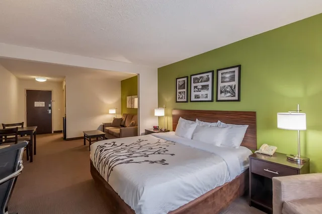 جناح بسرير كينج مع أريكة، Sleep Inn and Suites Harrisonburg Near University 2/6