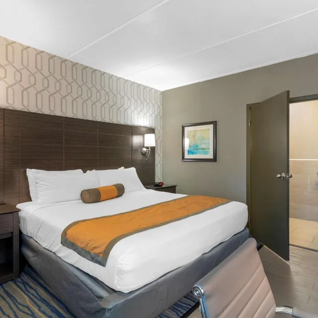 غرفة بسرير كينج يُسمح فيها بالحيوانات الأليفة لذوي الإعاقة، Best Western Plus Bowling Green 5/9