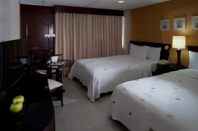 Executive Deluxe 1 Bed، Centro Plaza Hodelpa 1/1