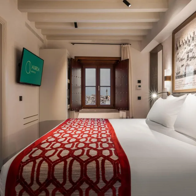 جناح جونيور بإطلالة، Aurea Casa Palacio Sagasta 4/8