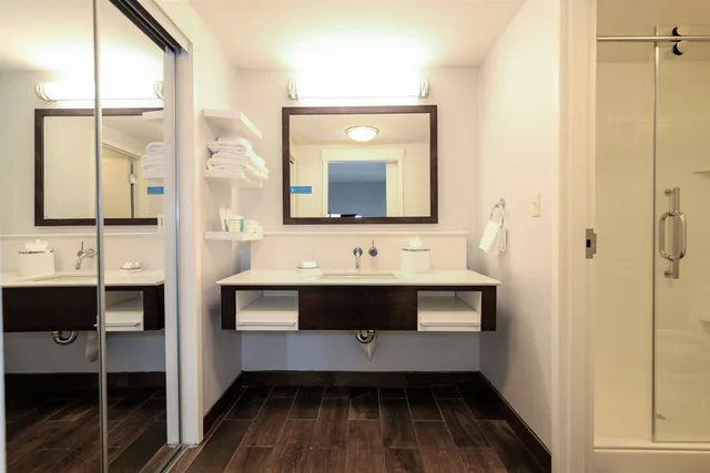 Studio, Suite, King Bed, Sofa, Hampton Inn Brighton Mi 7/7