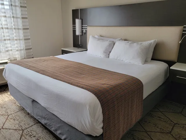 Standard, King Bed, Accessible, Wingate by Wyndham Greenville Airport 1/3