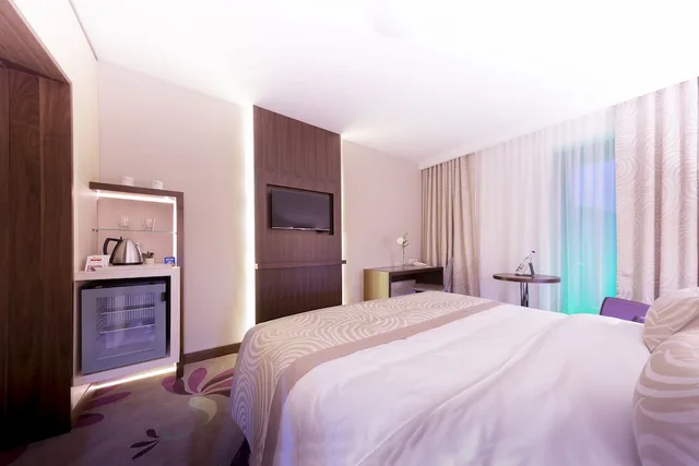 Superior, Double Bed, Transilvania 1/5
