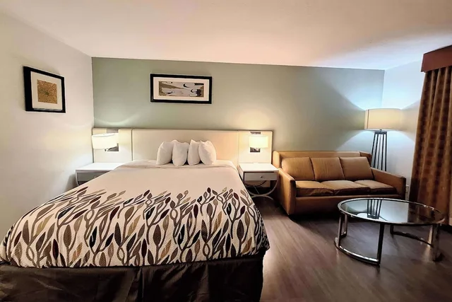 غرفة بسرير كينج بإطلالة على البحيرة، Travelodge by Wyndham Indianapolis Speedway 1/2