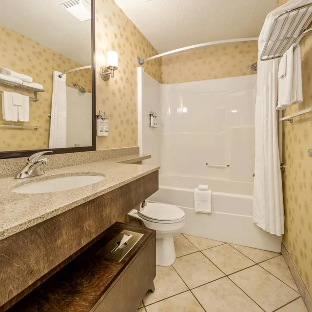 جناح بسرير كينج بإطلالة على المسبح مع أريكة، HOLIDAY INN LETHBRIDGE 5/6