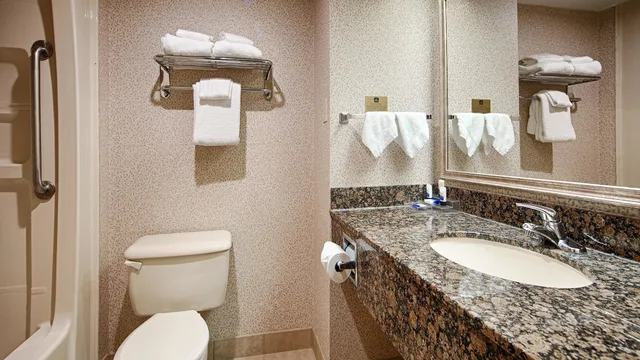 Standard, Queen Bed, Best Western Plus Toronto Airport Hotel 8/10