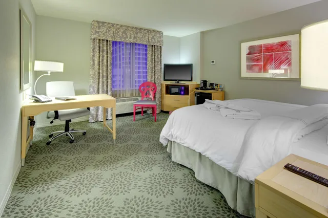 غرفة إليت بسرير كينج، Hampton Inn Suites By Hilton Miami Brickell Downtown 3/8
