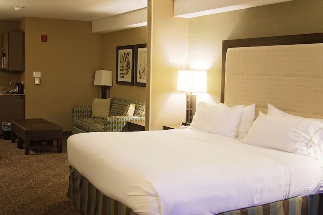 جناح بسرير كينج لذوي الإعاقة، Holiday Inn Express Hotel Suites Logan 3/6