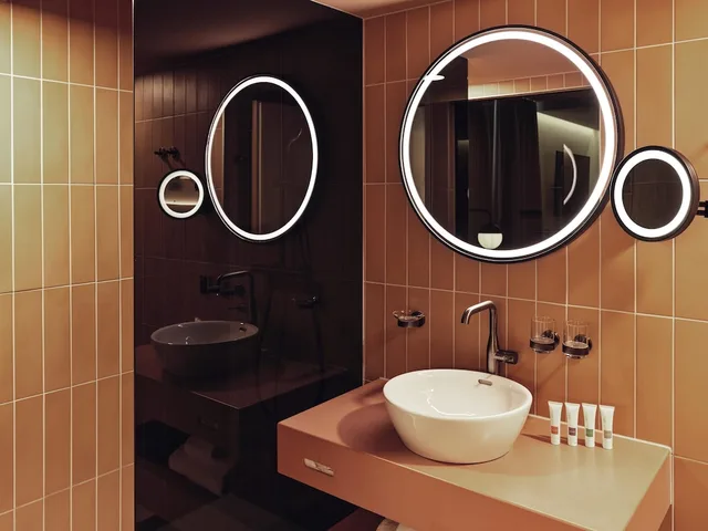 Classic, Queen Bed, Swissotel Kursaal Bern 6/6