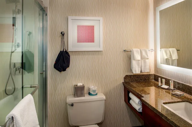 Tower, King Bed, Marriott St. Louis Airport 4/4