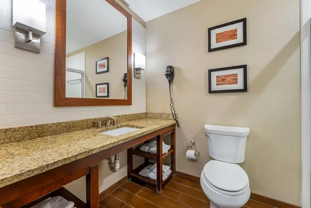غرفة قياسية بسرير كينج، Comfort Inn & Suites Triadelphia - Wheeling 5/7