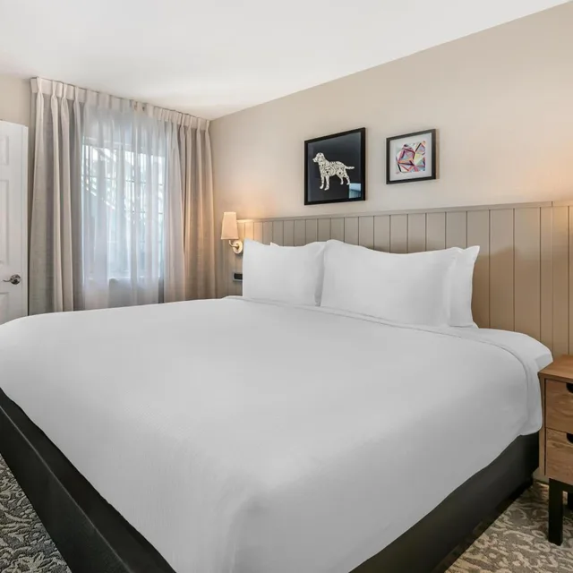 1 Bedroom, Suite, Pool Area، Sonesta ES Suites Orlando Lake Buena Vista 1/4