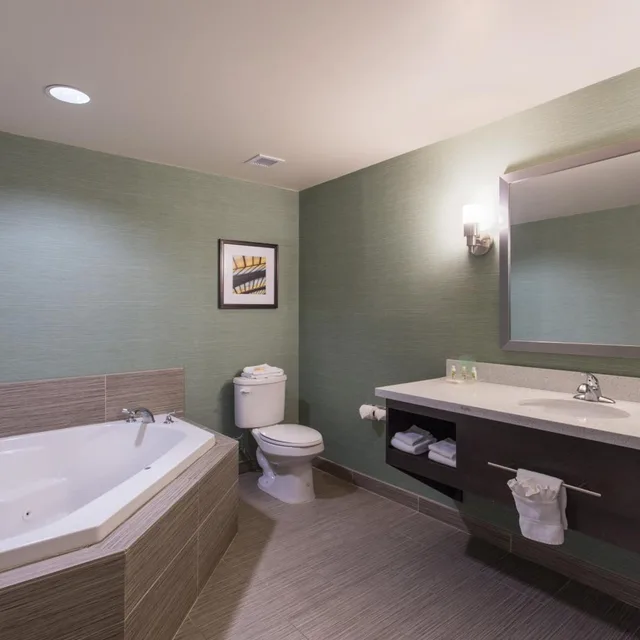 جناح بسرير كينج بجاكوزي، Holiday Inn Texarkana Arkansas Conv Ctr 6/6