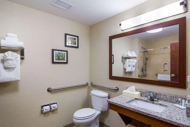 جناح بسرير كينج لذوي الإعاقة، Comfort Inn Blackshear Hwy 84 4/4