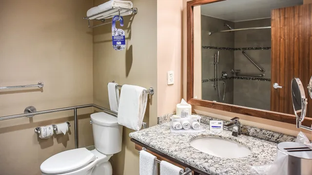 غرفة قياسية بسرير كينج لذوي الإعاقة، Holiday Inn Express and Suites Celaya 4/7
