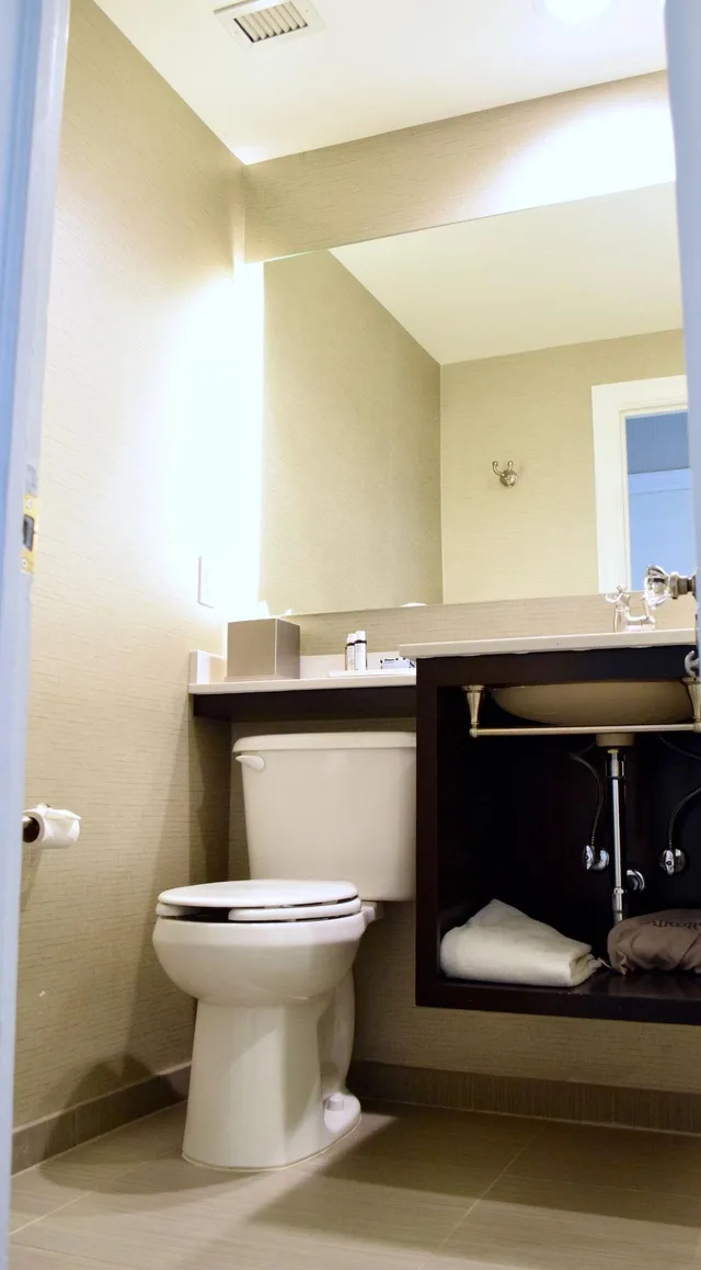 جناح رئاسي بغرفتي نوم، Hotel Alex Johnson Rapid City Curio Collection By Hilton 6/6