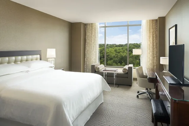 غرفة كلوب بسرير كينج بإطلالة على المسبح، Sheraton Austin Georgetown Hotel Conference Center 3/9