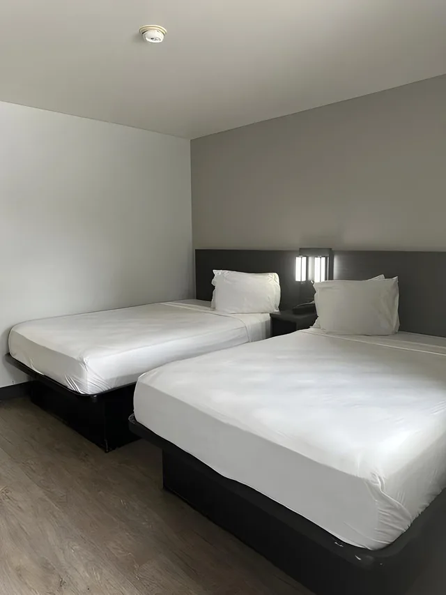 غرفة بسريرين مزدوجين، Motel6 Jacksonville, FL - Orange Park 1/1