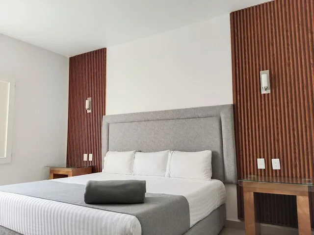 غرفة قياسية بسرير كينج، Hotel Zar Guadalajara 3/10