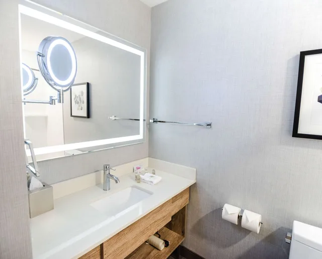 Executive, Suite, King Bed, Sofa, Kitchen, Large, Best Western Premier Executive Residency Medicine Hat 4/10