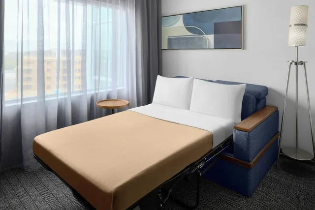 استوديو بسرير كينج مع أريكة لذوي الإعاقة، Courtyard by Marriott Orlando South/Grande Lakes Area 2/4