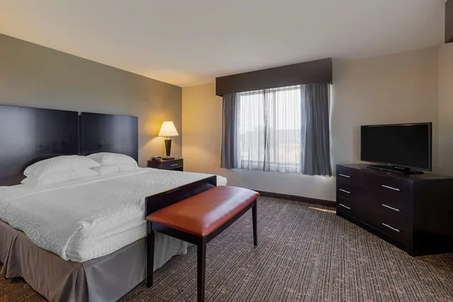 جناح بسرير كينج مع أريكة لذوي الإعاقة، Best Western Plus Omaha Airport Inn 2/9