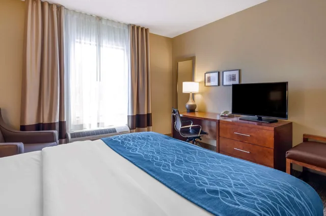 غرفة قياسية بسرير كينج، Comfort Inn & Suites Lynchburg Airport - University Area 1/10